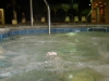 Florida 08 016.jpg